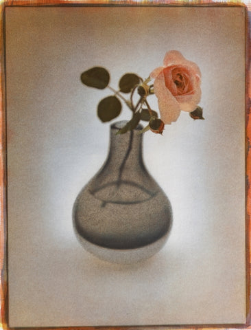 Rose In Black Vase
