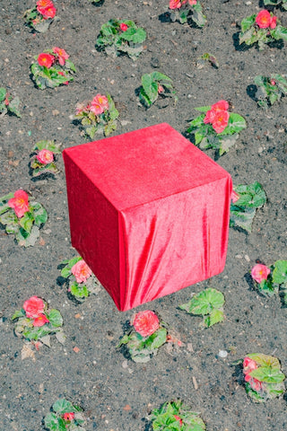 Red Cube (coauthor Elena Subach )