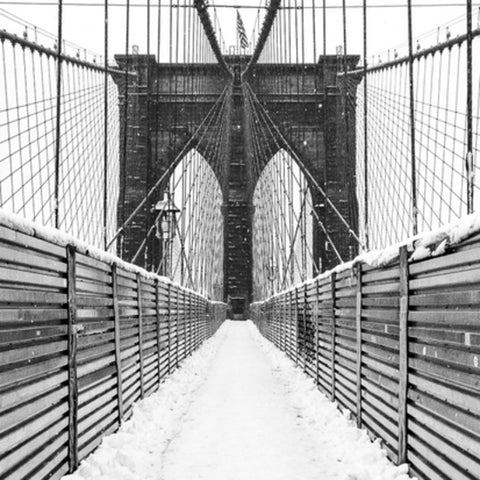 Brooklyn Bridge In Snow