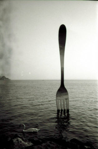 A Fork In The Lake