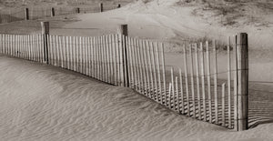 Fence In The Dunes
