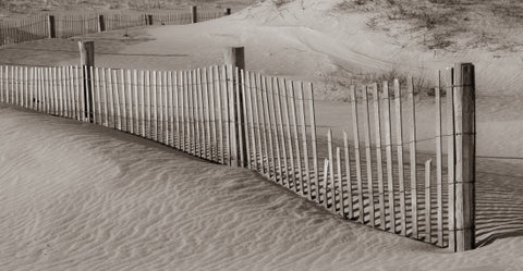 Fence In The Dunes