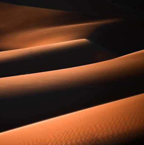 Skin Of The Desert
