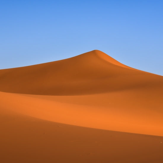 The Art Of Desert