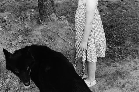 Untitled (girl And Wolfdog