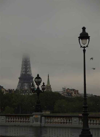 Paris Dawn