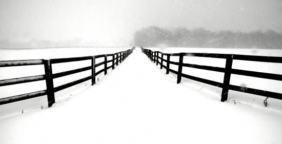 Fenced White Out