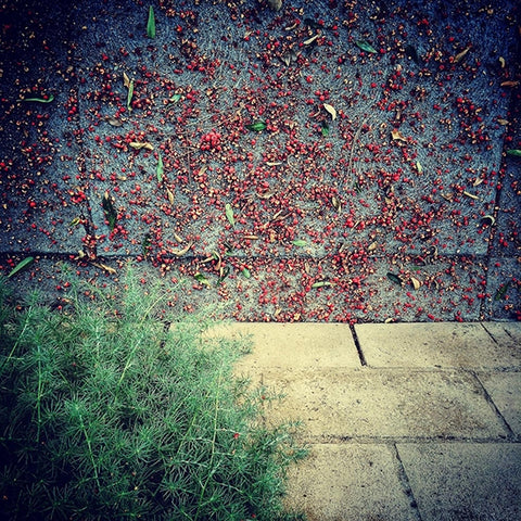 Urban Haiku 04