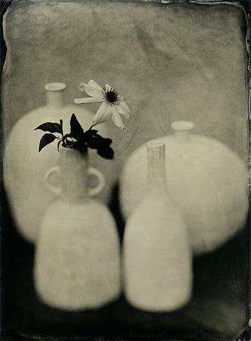 #2021-09-02 | Vases et Clematite