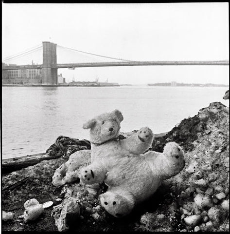 #2023-01-22 | Bear And Snow Pile, East River (NYC)
