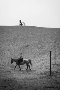 A Horse And A Bike