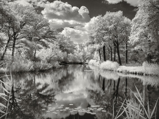 Small Lake Infrared Picture B And W