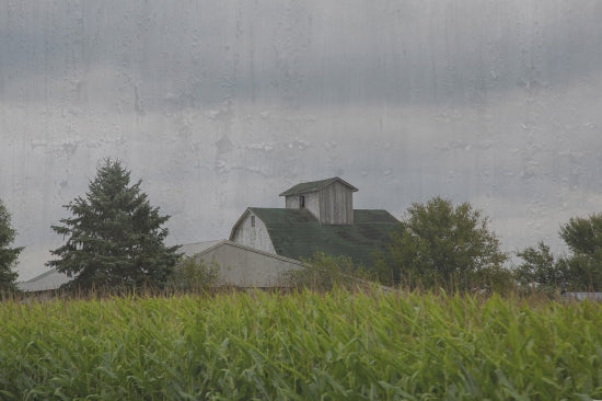 Green Roof Barn