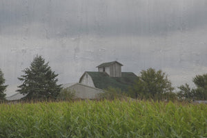 Green Roof Barn