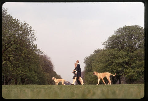 Walk In Hyde Park, London 1971
