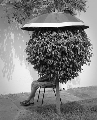 Umbrella Lady
